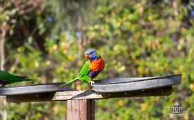 Lorikeet Holiday Park